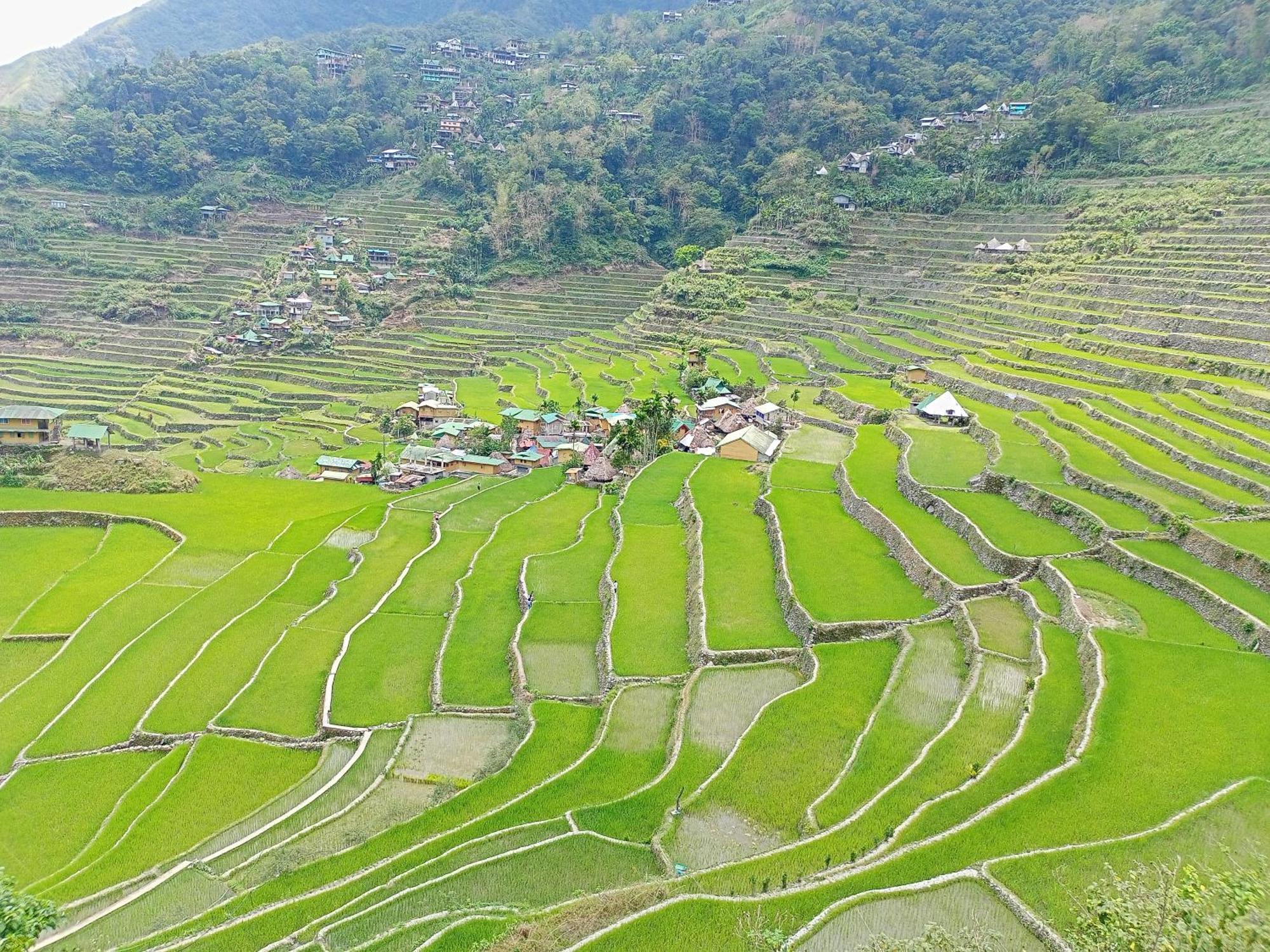Banaue Transient House Bed And Breakfast Exterior foto